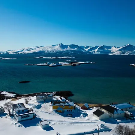 Arctic On The Beach
