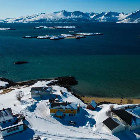 Arctic On The Beach *