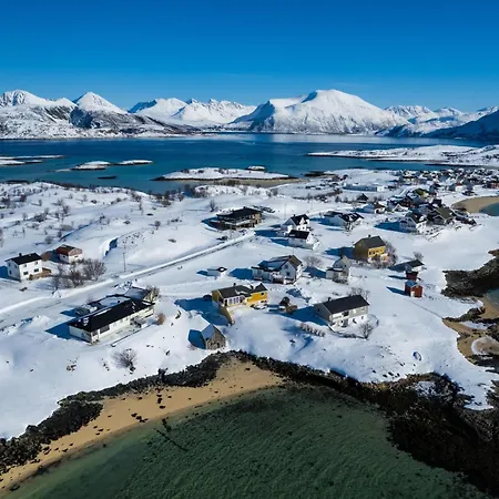 Arctic On The Beach